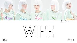 Wife - I-DLE Colour Coded Lyrics HAN/ROM/ENG News