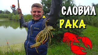 ХОЛДИК И РАК 🦂ВПЕРВЫЕ В ЖИЗНИ ПОЙМАЛ РАКА НА УДОЧКУ