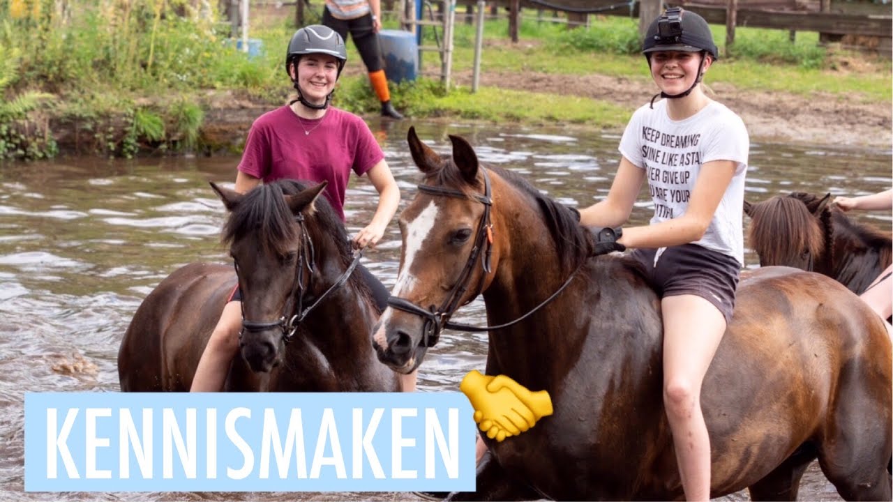 🐴 - TREC op STAL ‘T REELAER 2019 /zondag&maandag/ | !lse vlog #22