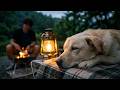 Late Summer Forest Camping with My Dog | Crickets, Nature Sounds &amp; ASMR