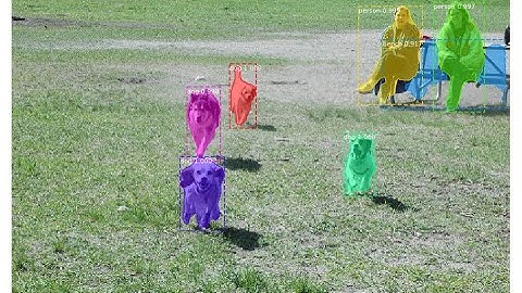 Train Mask R-CNN on a Custom Dataset