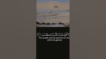 #سورة_المسد #القرآن_الكريم #القرآن #fly #اكسبلور #foryou #quran #راحة_نفسية #shortvideo #قرآن #لايك