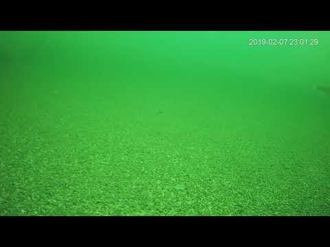 22 58 00 23 06 00R0 00 22 58 00 23 06 00R0 00