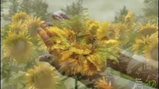 OMAR AKRAM - A Vision Of You