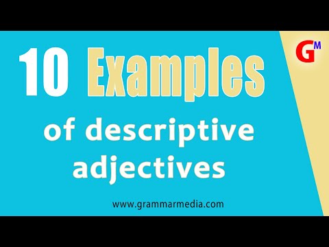 10 Examples of