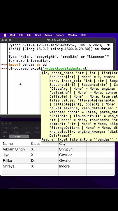 Import Excel file with pandas and display it to Console in seconds ...