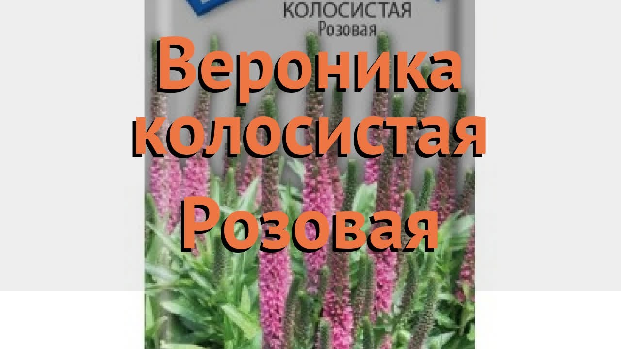 Магазин Семян Вероника