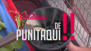 Spot Punitaqui Vendimia 2017