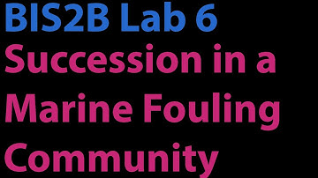 BIS2B Lab 6 - Succession in a Marine Fouling Community