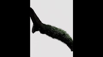 grass growing opus  #animation #redshift #blender #c4d #digitalart #houdini #blender3d #art #cgi