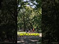 🇺🇸New York, Central Park🇺🇸 #shorts #video #park #nature