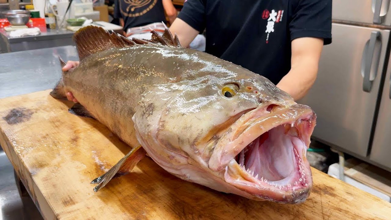 Filleting a Rare, High Grade Fish“Saw-edged Perch” Weighing More Than 17kg