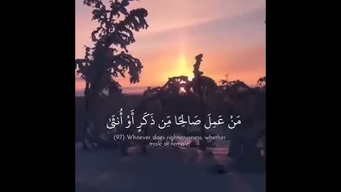 تلاوات خاشعة / القارىء ياسر الدوسري