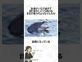 ぼっち過ぎて独り言を話し続ける多重人格イルカ