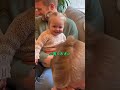 史上最高にキュートな瞬間!子供の一言にみんな大笑い!