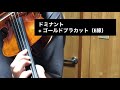 ドミナントからピラストロのゴールドに替えました。