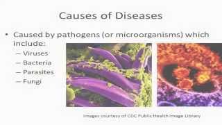 Information 1.2 – Overview of Zoonotic Diseases: Causes News