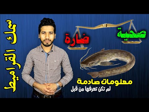 فيديو: مكعبات سمك السلور - ما هي