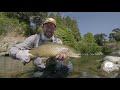 Pure fly nz series 3  wellington central fly fishing