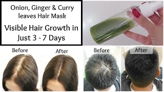 Visible Hair Growth in just 3 Days || Onion, Ginger & Curry leaves Hair Mask