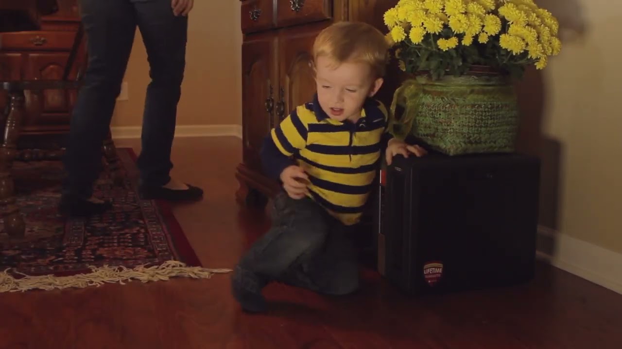 Greentech pureHeat 2-in-1 (Portable Room Heater + Air Purifier)