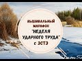 МАРАФОН "НЕДЕЛЯ УДАРНОГО ТРУДА" С ЭСТЭ  | ПОТРУДИЛАСЬ НА СЛАВУ!