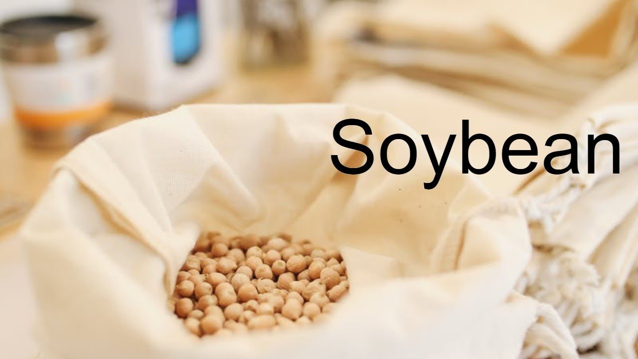 Health Benefits Of Soybean In Daily Life | By Shweta Kate| English |