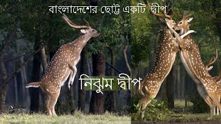 নিঝুম দ্বীপ I NIJHUM DWIP I