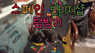 빈티지가게 탐방2: 🇪🇸스페인 편(세비야 | 그라나다 | 마드리드 | 바르셀로나)