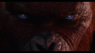 Godzilla x Kong The New Empire @Kaiju_Freaks101
