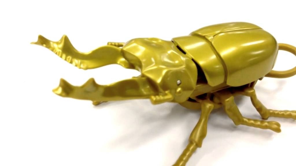 オウゴンオニクワガタ Youtube オウゴンオニクワガタ Youtube