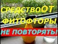 ШОК СРЕДСТВО ОТ ФИТОФТОРЫ НА ТОМАТАХ !!! НЕ ПОВТОРЯТЬ !!!