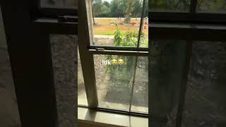 Sry I Havent Been Posting I Was Just Bored