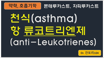 천식 보조요법 항류코트리엔제(anti-leukotrienes): montelukast(몬테루카스트), zafirlukast(자필루카스트)