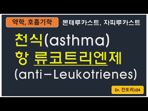 천식 보조요법 항류코트리엔제(anti-leukotrienes): montelukast(몬테루카스트), zafirlukast(자필루카스트)