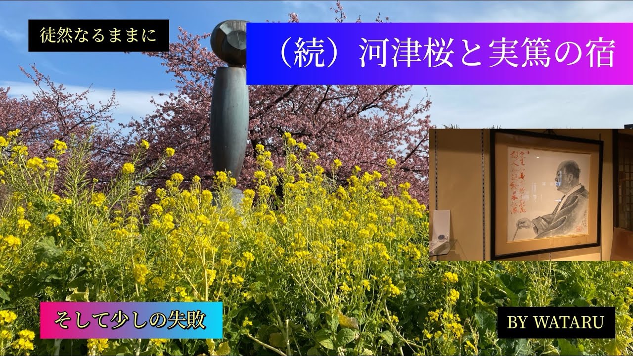 （続） 河津桜と実篤の宿そして少しの失敗