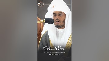 فَإِذَا جَاءَتِ الصَّاخَّةُ 😢 | تلاوة إبداعية خاشعة من أواخر سورة عبس فضيلة الشيخ أ.د ياسر الدوسري