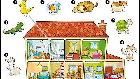 PB pg. 28 - Activity 4 - Look, listen and match.