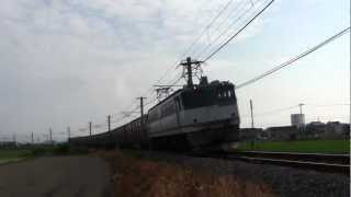 【PF2061】高速貨物3074列車　(新)EF65-2061 四国運用充当！