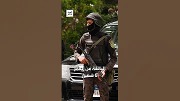 قطة تلتهم رضيعة في قرية مصرية والتحقيقات تفجر مفاجأة لا تخطر على البال 
