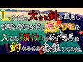 タイラバは針のサイズで釣果に違いがでるのか検証してきた。