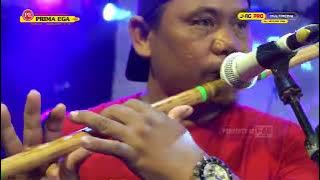 live Prima Ega WANGANDAWA bersama TASYA FT BORDIN