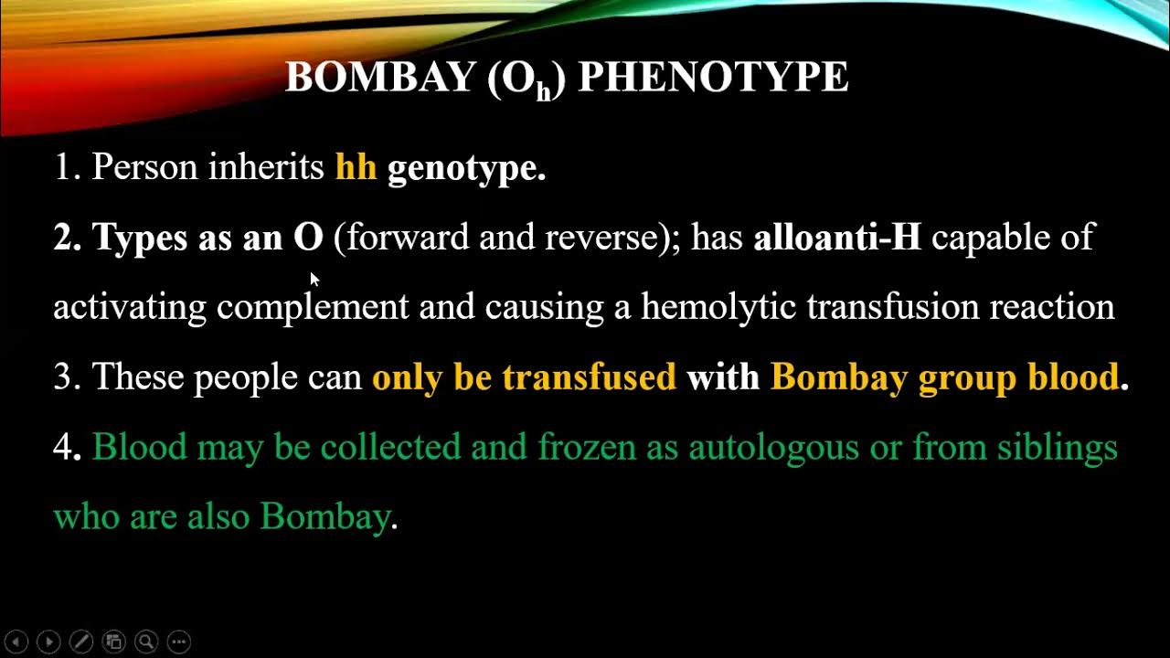 Bombay phenotype & Secretor status (Cashirkii 4aad) YouTube