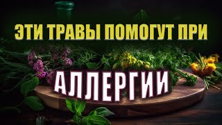 Девять трав от аллергии | Как снять симптомы аллергии
