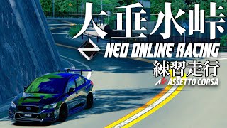 【大垂水峠】公道バトル大会 『Neo Online Racing』練習走行　2024年2月16日【Assetto Corsa】ラバルル芸夢