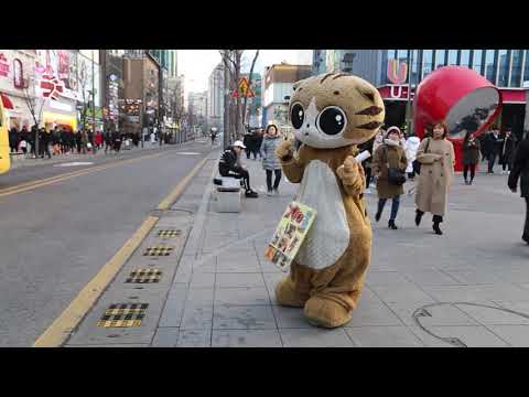 JHKTV] 신촌 명물고양이마임 엉성한 지휘자  shin <strong>chon</strong> special <strong>cat</strong> mime Sloppy conductor.