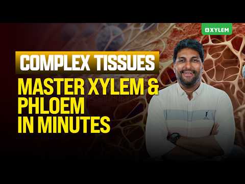 Complex Tissues 🌱: Master Xylem & Phloem in Minutes | Xylem NEET