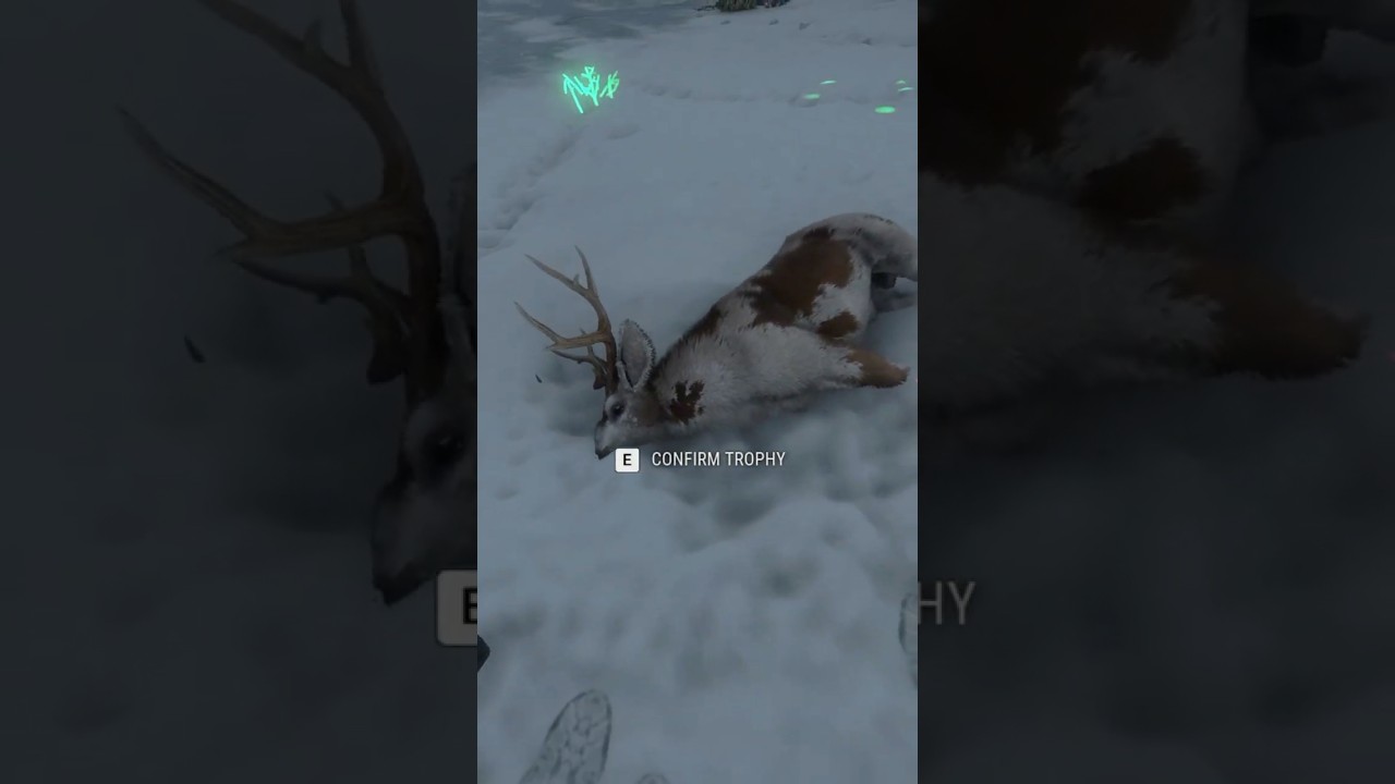 RARE PIEBALD MULE DEER ON THEHUNTER CALL OF THE WILD  