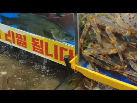[기빙] 윤미네, 역시나 전라도횟집
