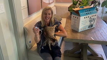 How to give subcutaneous fluids to your pet when they are naughty.